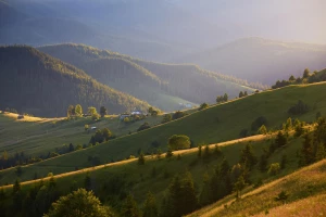 Leczenie zębów u stomatologa