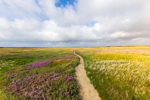 5-minutowy przewodnik: jak dobrać meble biurowe do małego biura (wymiary, układ, ergonomia) i uniknąć kosztownych błędów.