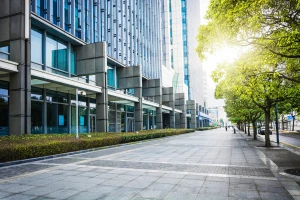 Ogrody przyszłości: 10 zasad architektury ogrodowej minimalizmu—od układu rabat po materiały, które łatwo utrzymać i nie znudziłyby się po sezonie.